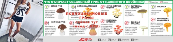 сатива Михайлов
