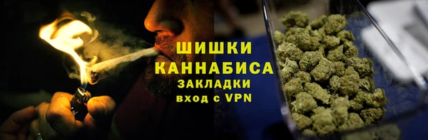 сатива Михайлов