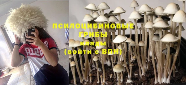 сатива Михайлов