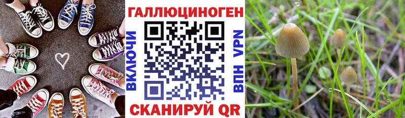 Псилоцибиновые грибы Cubensis купить цена Починок
